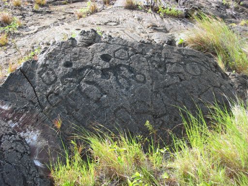 Pu'u Loa Petroglyphs