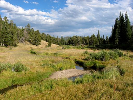 Beaver Meadows